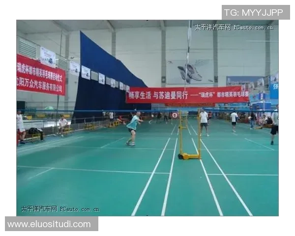 广州羽毛球队在精英赛中的技术表现分析与总结