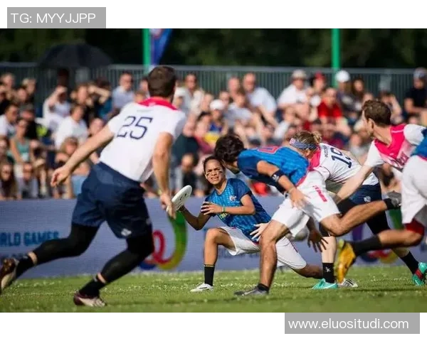 广州飞盘队状态分析：聚焦飞盘运动的热潮与挑战