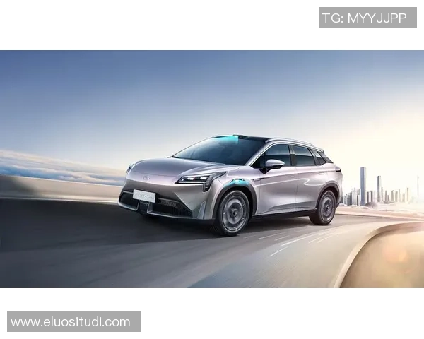 张帆：在时代浪潮中扬帆起航的青年领袖与创新者之路