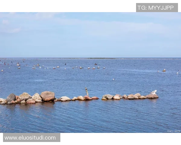 探索阿拉巴的魅力与文化底蕴,感受这片土地的独特风情与历史传承